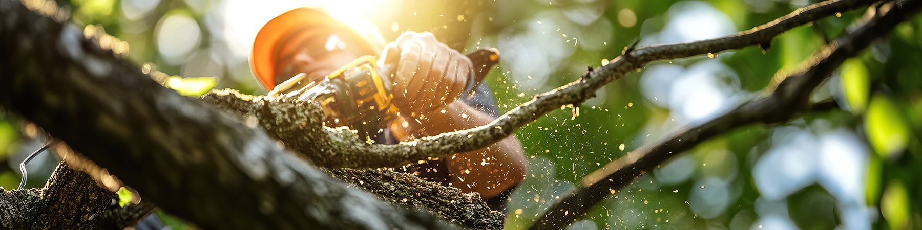 Springdale Arborist Using a Chainsaw to cut a tree